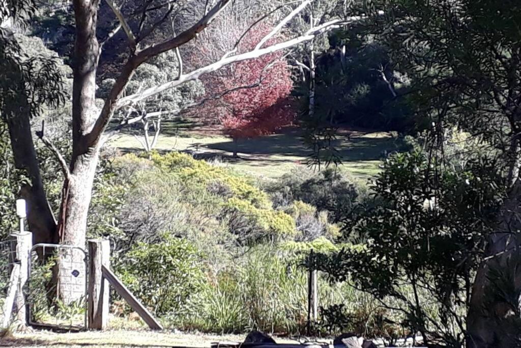 Katoomba Falls Cottage Exterior foto